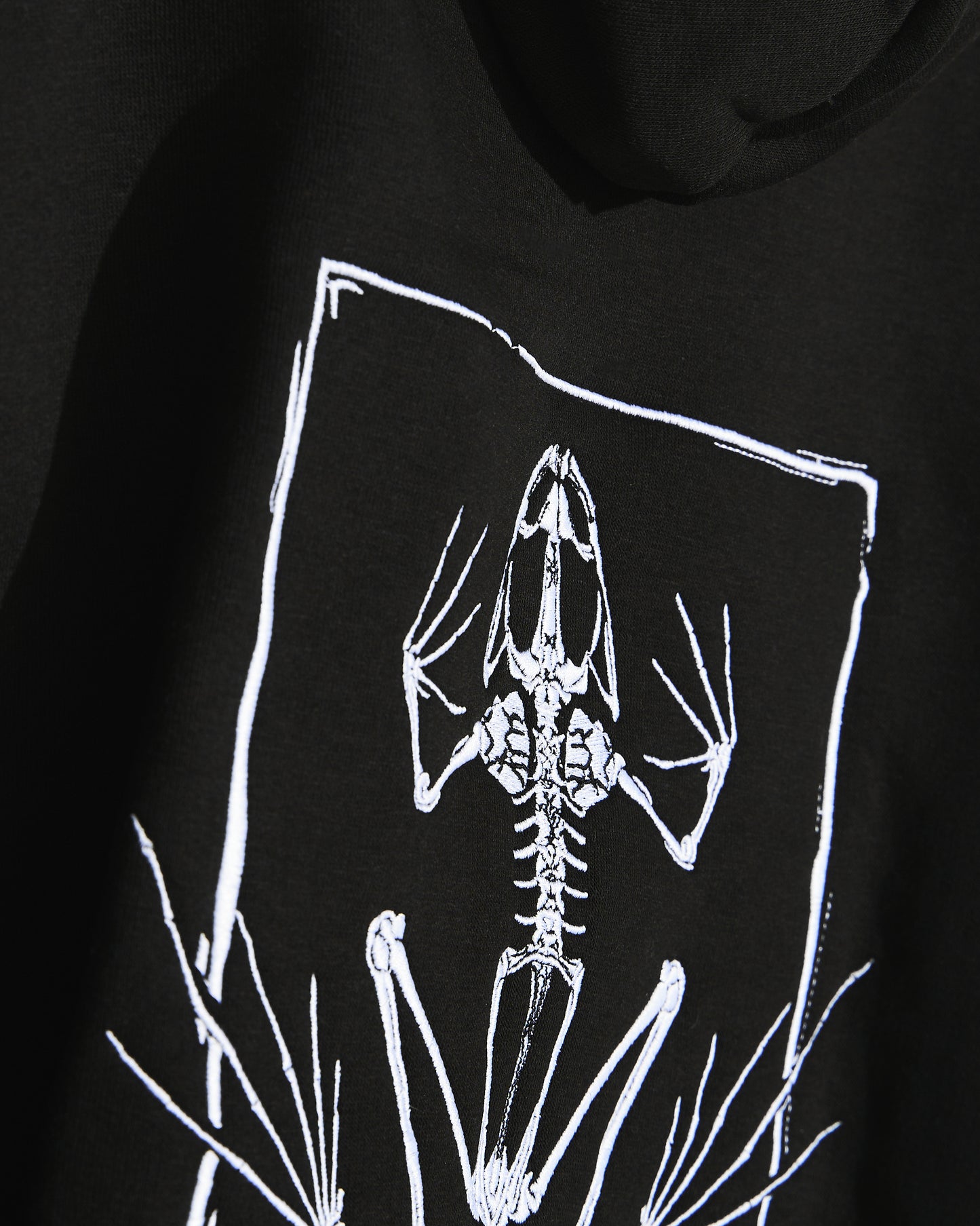 SkeleToad Hoodie